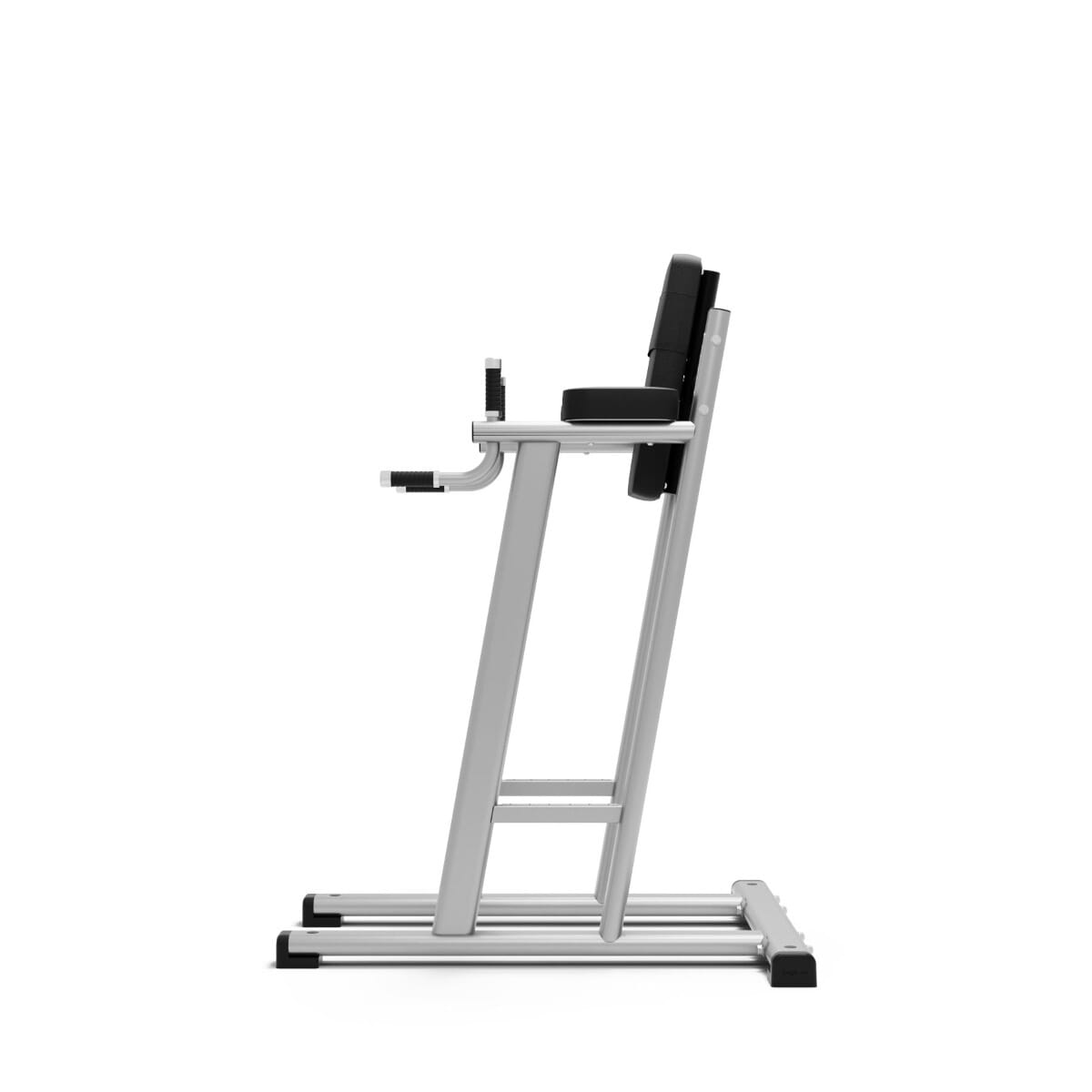 Exigo Leg Raise Dip Station Physical Company