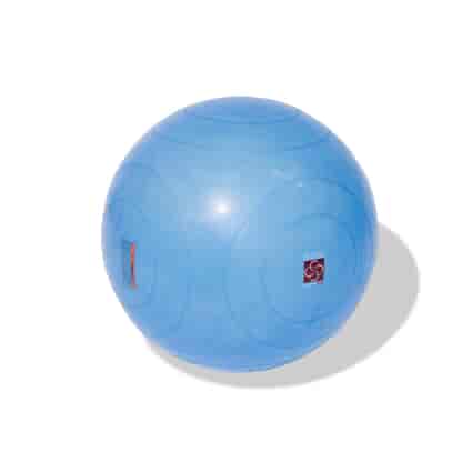 BOSU® Ballast Ball