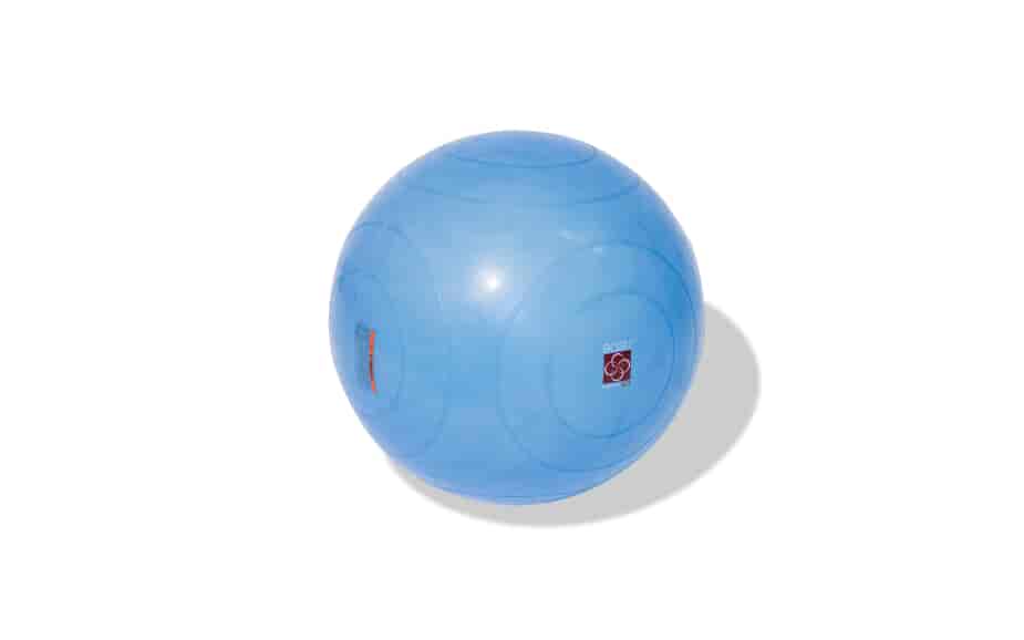 BOSU® Ballast Ball 