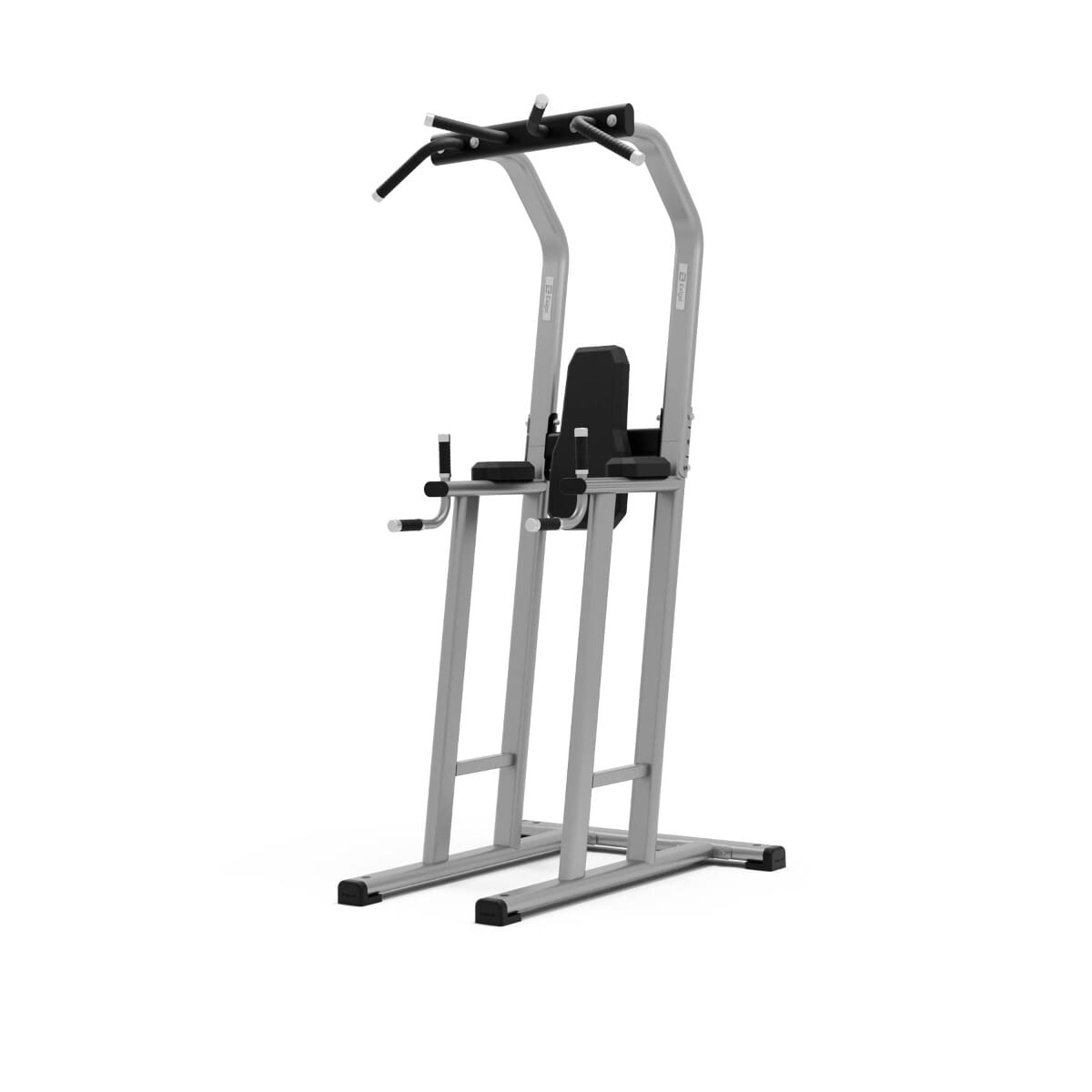 Exigo Chin Dip Leg Raise Station Physical Company