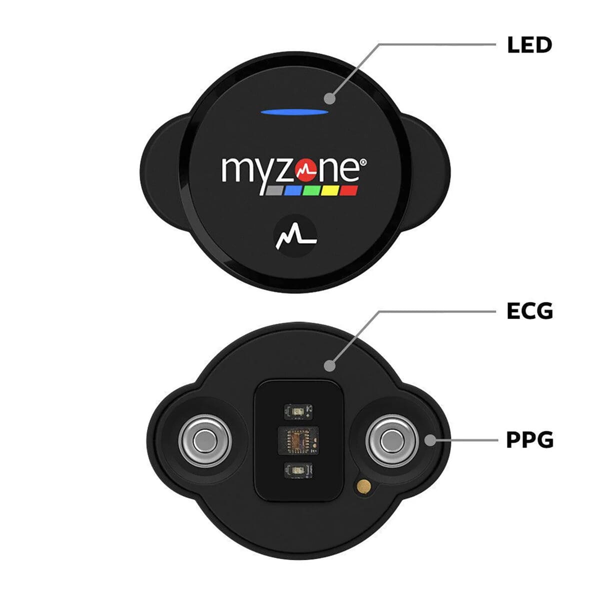 MYZONE MZ-3 Heart Rate Monitor Chest Strap Bluetooth Fitness