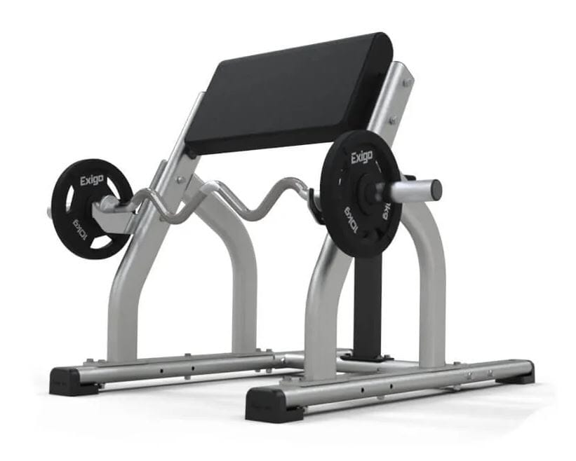 Seated 2025 curl bench