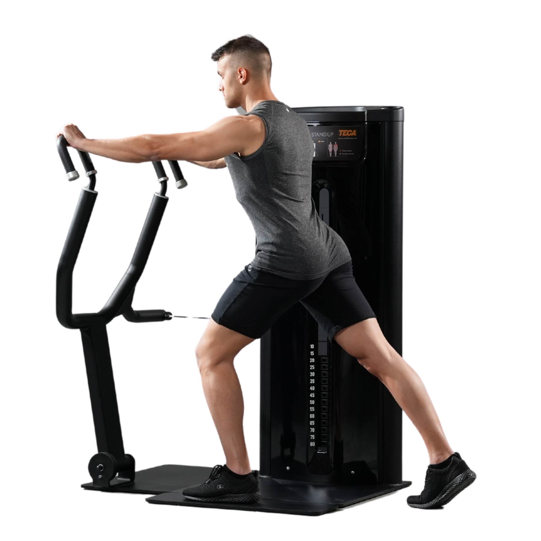 TECA Stand Up Chest Press Machine