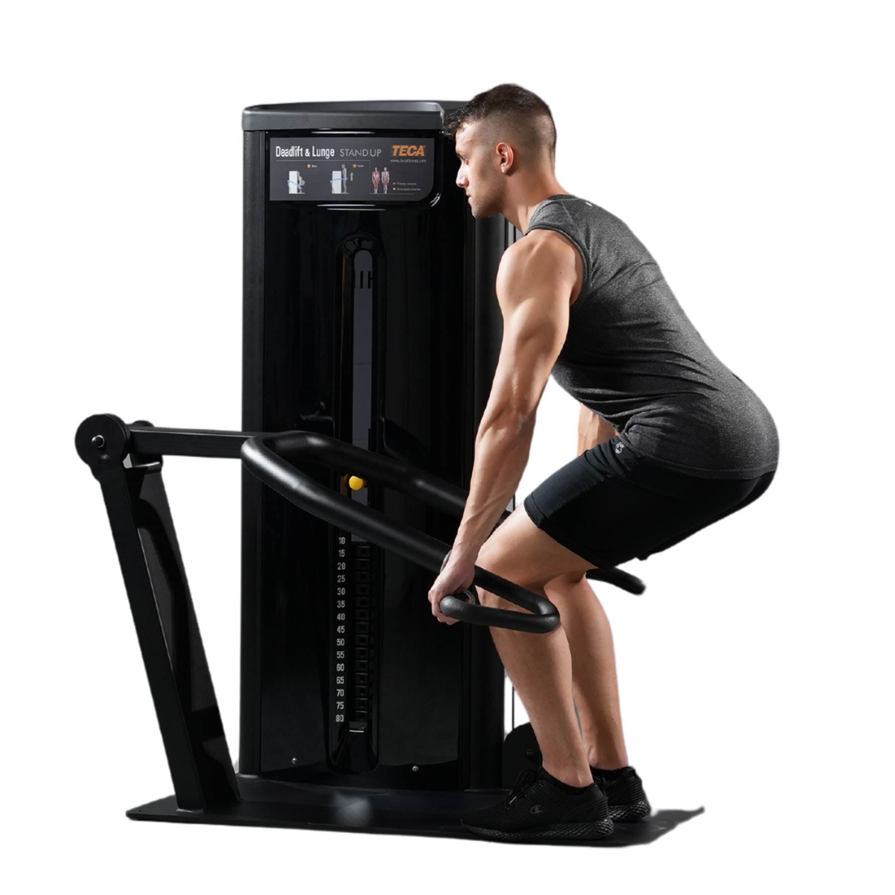 TECA Stand Up Deadlift & Lunge Machine