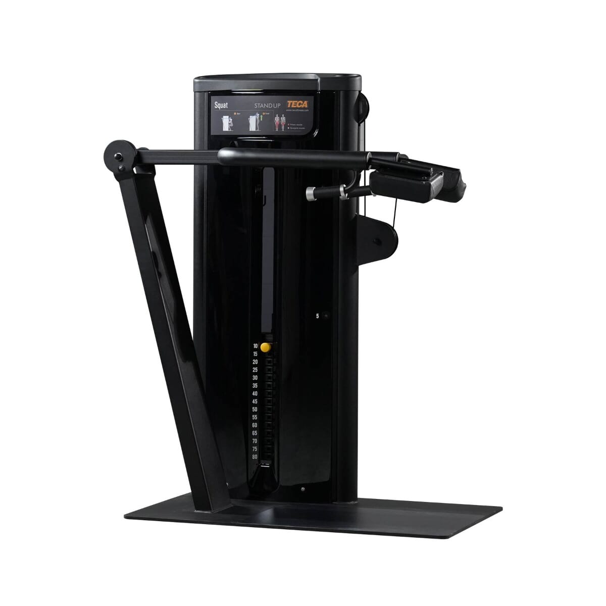 TECA Stand Up Squat Machine Physical