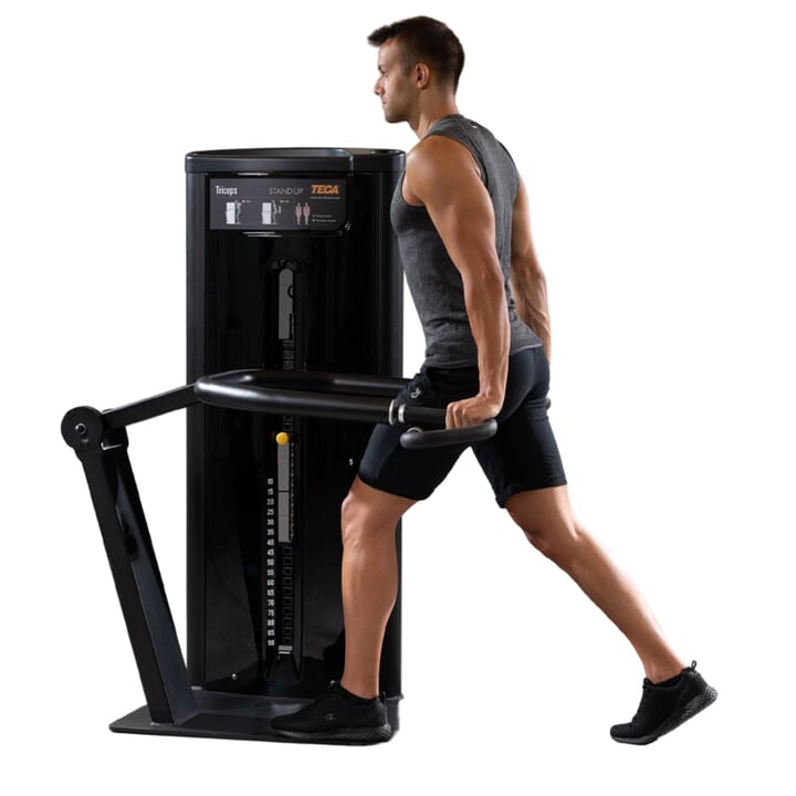 TECA Stand Up Tricep Machine Physical