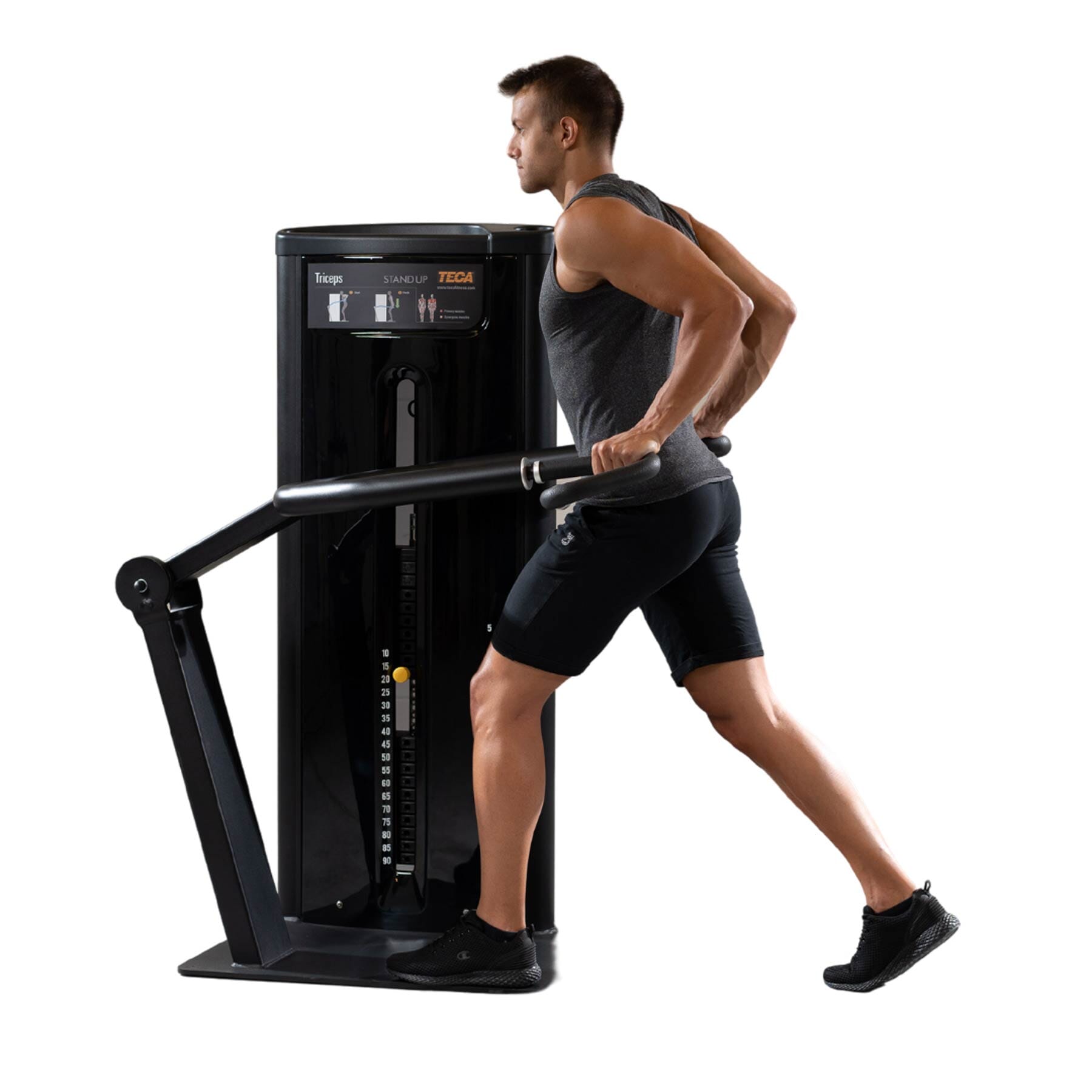 Triceps Press | Ultra | Single-Station | Matrix Fitness