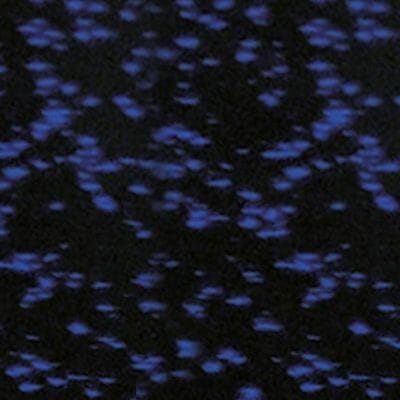 Blue Fleck