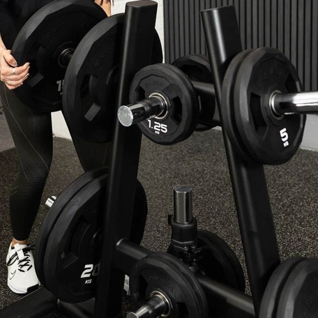 Olympic Plate Storage Racks