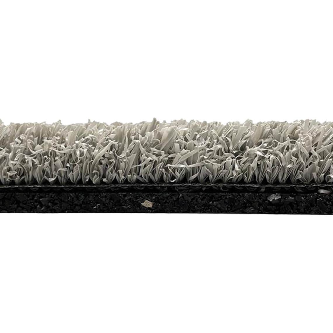 Ecore FlexTurf Motivate