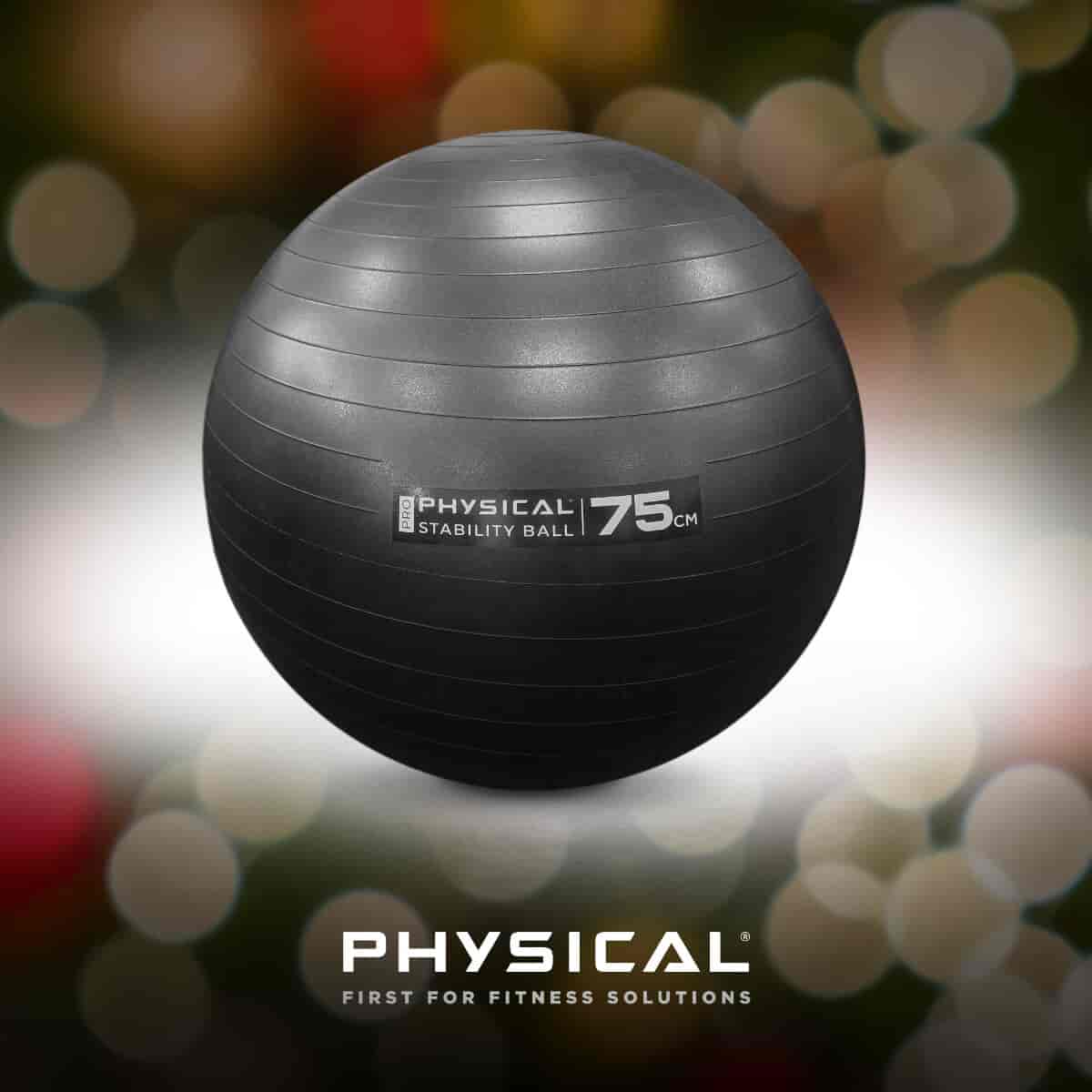 Physical Chritmas Gift Guide Stability Ball