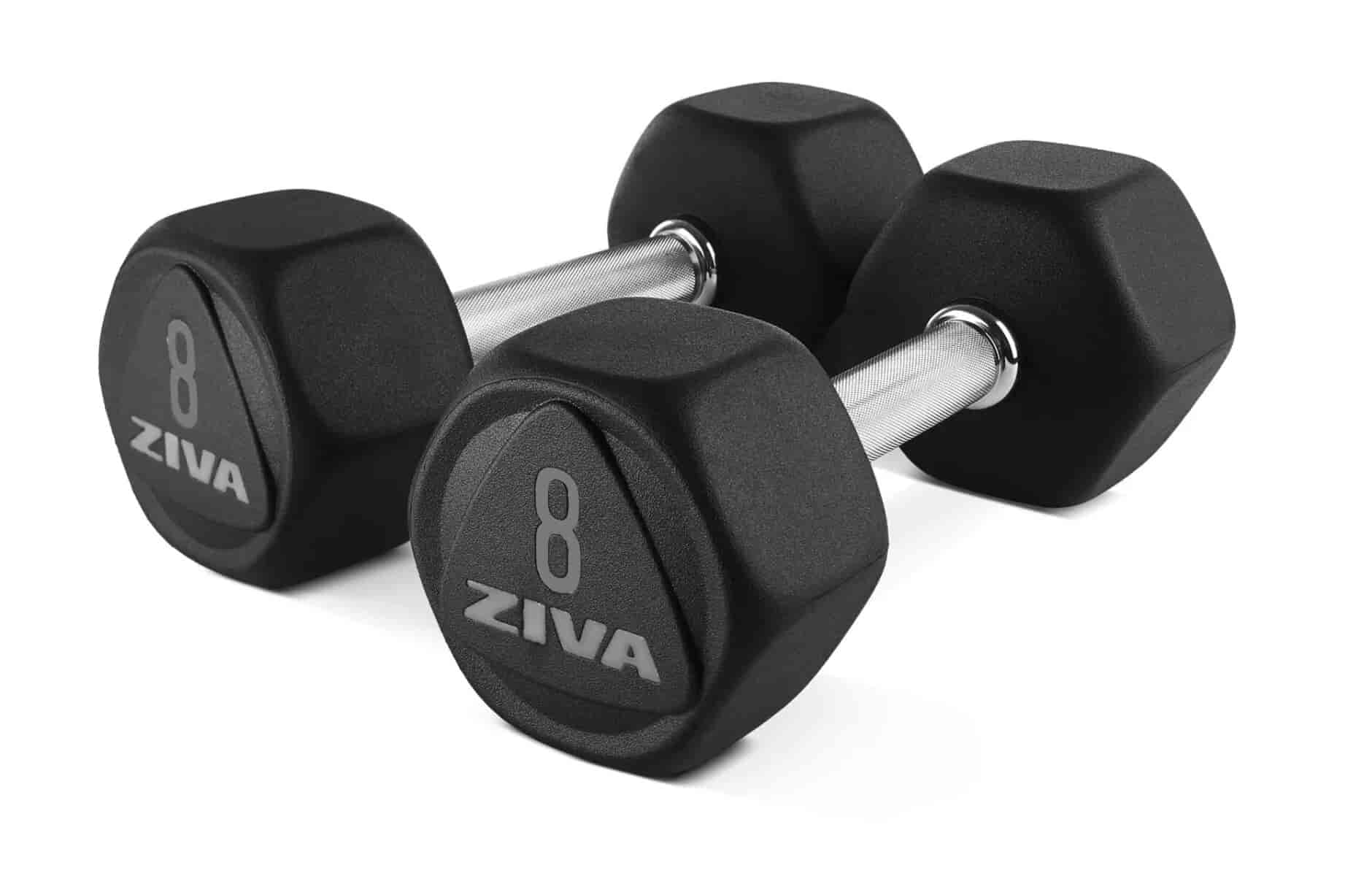 Neo Hex Dumbbells Physical
