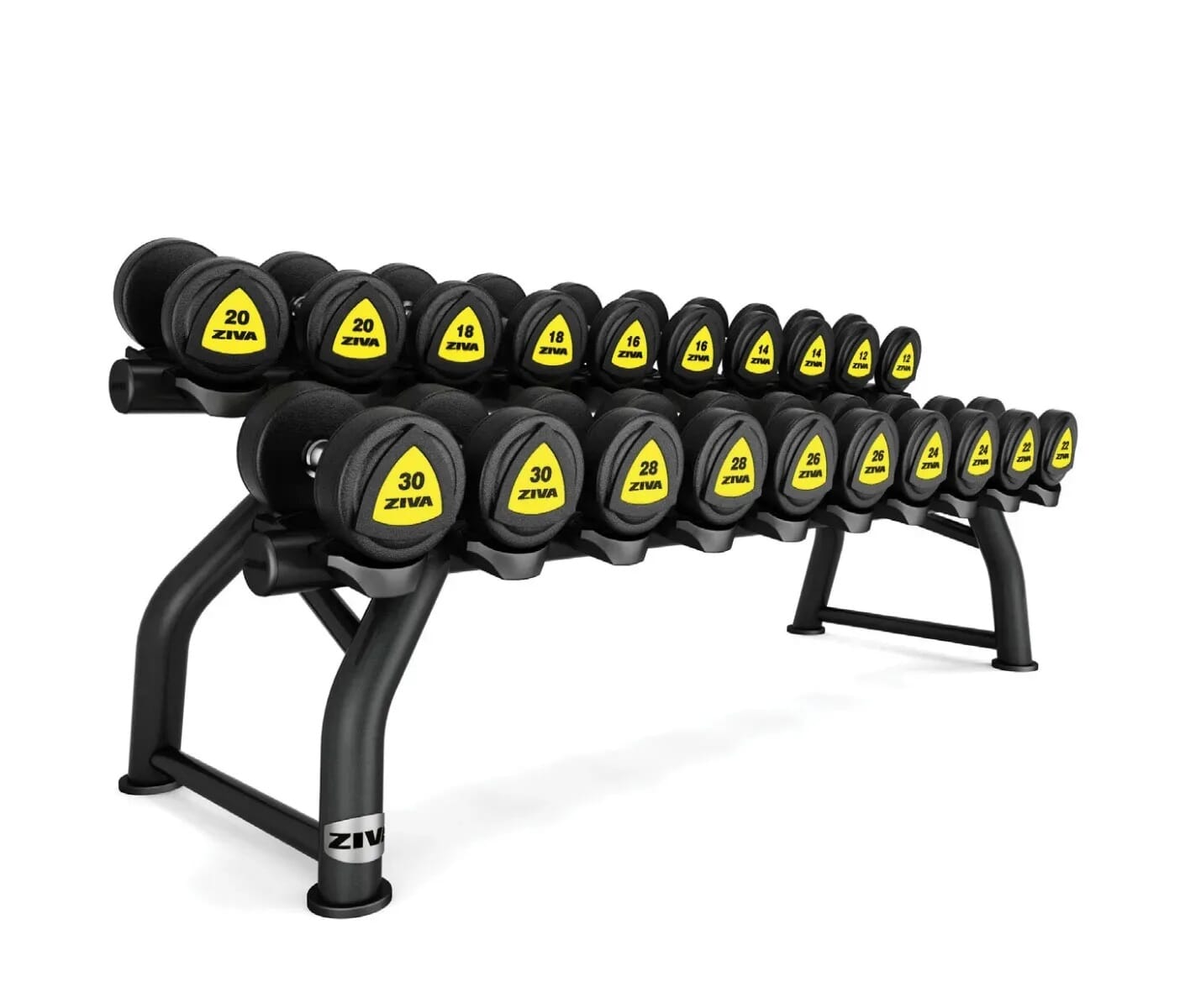 The Ultimate guide on Storing Dumbbells by Physical